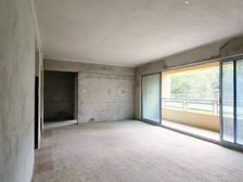 儿童公园旁横厅洋房四房 前后100平花园 还有两层地下室