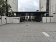 1.14 空港叠拼别墅 带露台带屋顶花园 观月路站 配套成熟