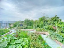 必看好房!新上!实得400平,空中别墅,带超大花园,千米视野