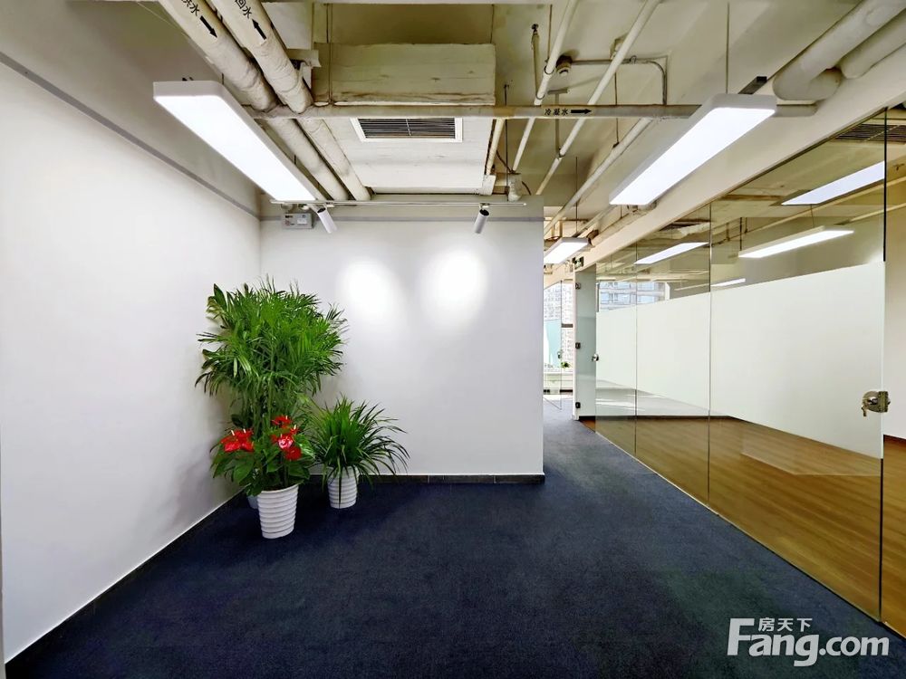 内景图