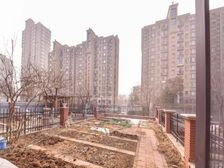 凤凰路联排别墅 国华印象 有院有车位