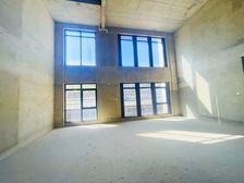 新亚洲体育城(2亩花园3个车库)独栋现房别墅螺蛳湾子君山麓城