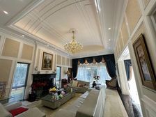 双面环湖岛屿别墅丨占地1500平送500 豪装丨资金链已断