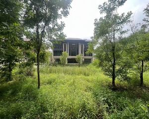 5折出售!朝阳新房独栋别墅!室内3000㎡花园3500㎡