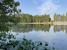 (抬头看东湖+公摊6%+双阳台+双入户)东边户,无遮挡看湖