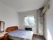 棉四宿舍 81中 所有房源均可联系我 咨询我免费送资料