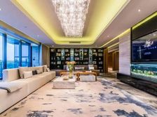 内部保留 合景臻溋名铸 金融城 南向一线江景豪宅 媲美汇悦台