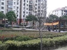 南北通透,电梯房,品质小区,采光充足,精装修