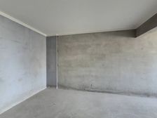 华科大 琨御府旁 金地光谷世家 2室1厅 72万