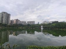 香樟林岛上私人定制大独栋 三面环湖 尽端位置 花园1500