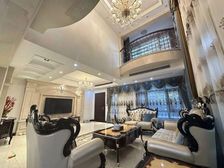 大虹桥君悦湾墅 车位充足 房龄新 带电梯 满五 联排别墅