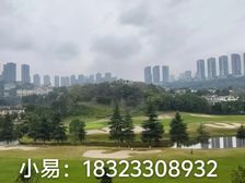 汽博 保利板式洋房 近距离看高尔夫 视野超好 推荐!!