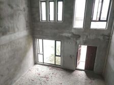 红角洲稀缺双拼 大别墅 有天有地 超大面积双學區 莱电咨询