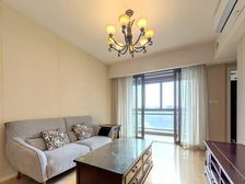 滨江商务区 地铁口 2013年 商品房 有会所 精装高区2房