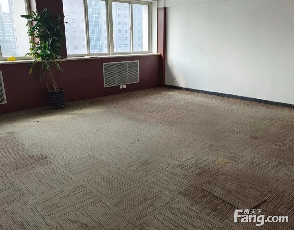 内景图