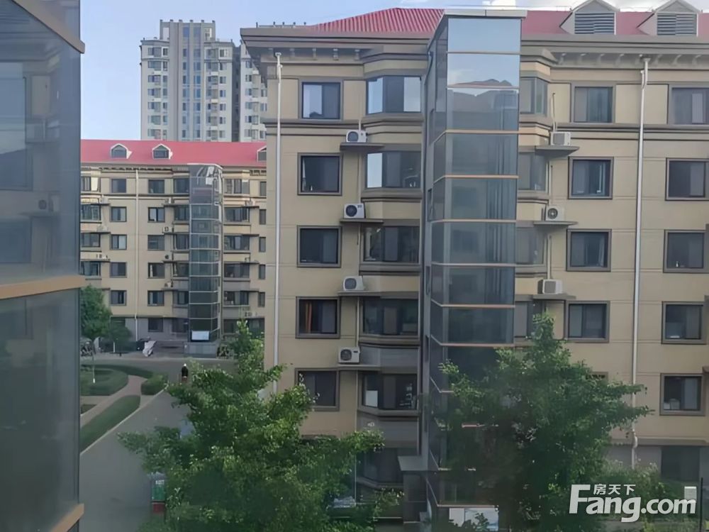 实景图