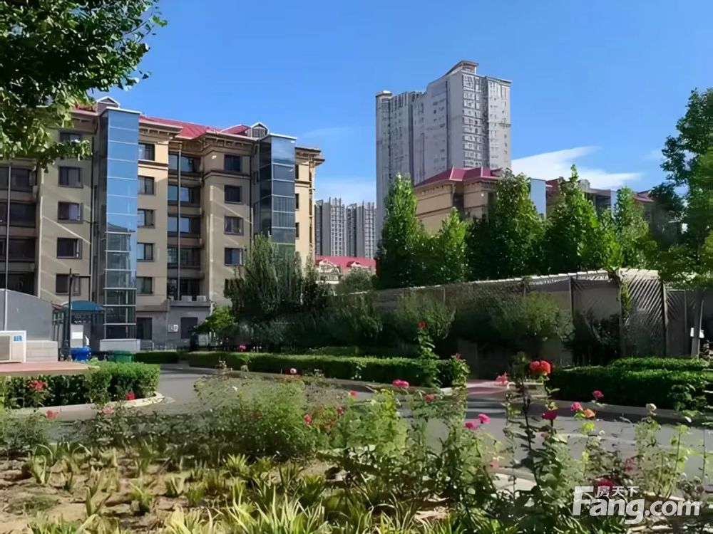 实景图