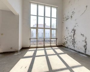 独栋别墅干净毛坯房大花园450平米挑空客厅落地窗