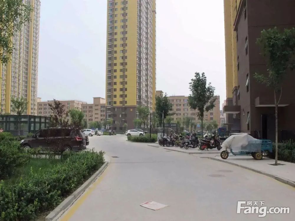 实景图