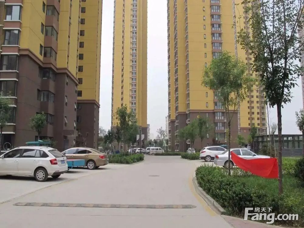 实景图