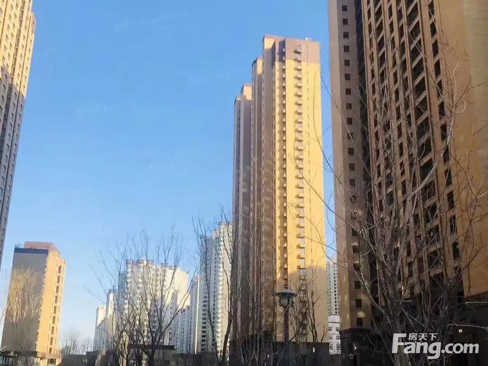 实景图