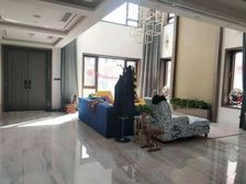 带大入户花园 龙奥大厦南临 类独栋双拼别墅 带露台