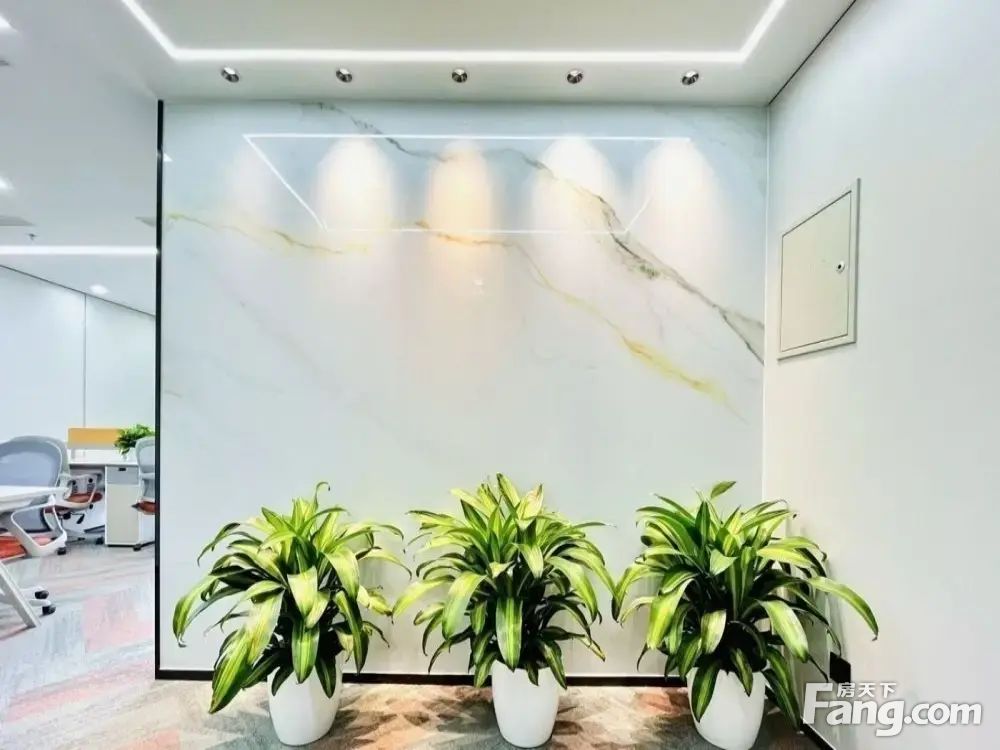 内景图
