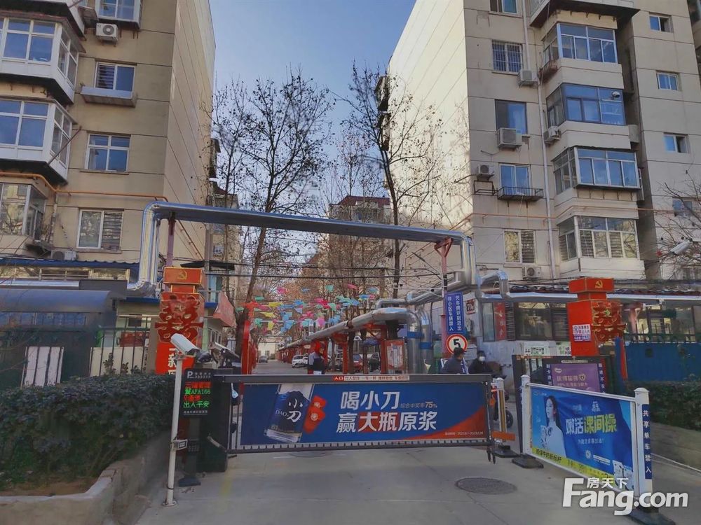 实景图
