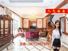 漕河景苑,沿河景观别墅,仅此一套,带花园,带车库。