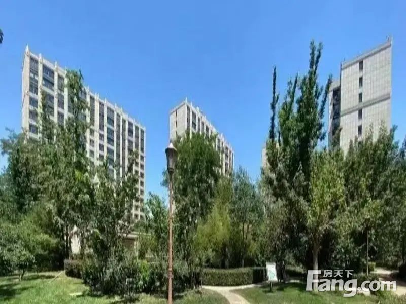 实景图