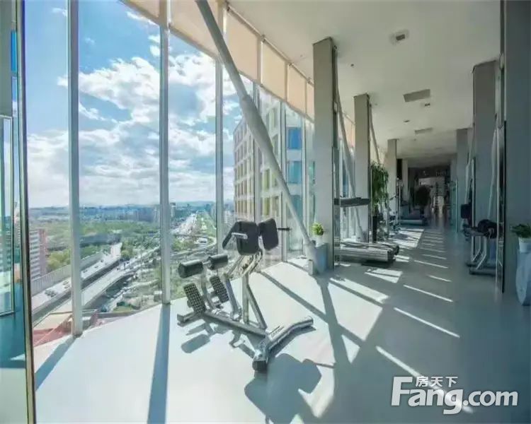实景图