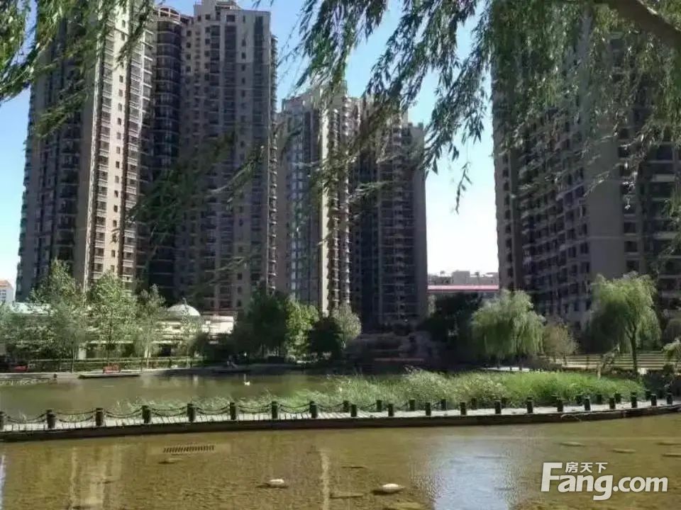 实景图