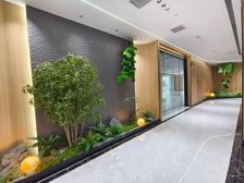 汉峪金谷 云泉中心 鲁商国奥城 新装修466平 高区 配家具