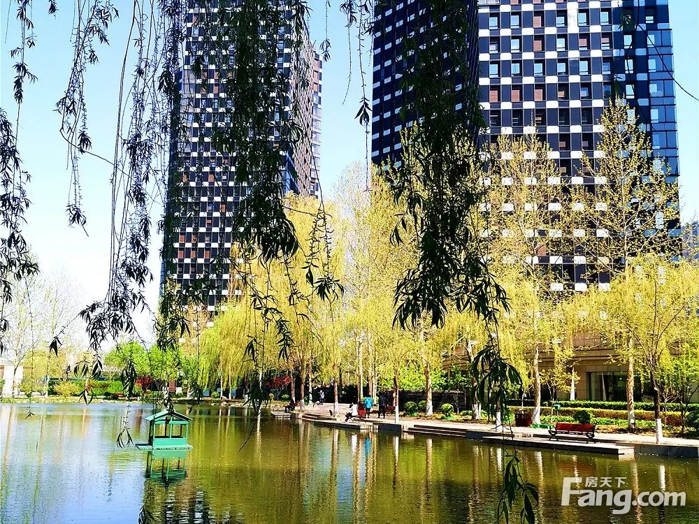 实景图