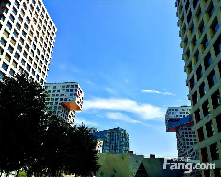 实景图