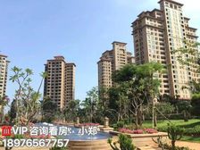 清盘钜惠 澄迈.老城(海湾雨林)58平米精装一房 特价39万