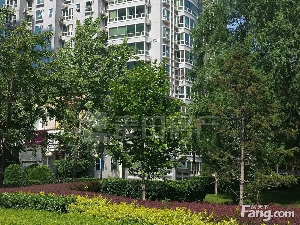 小区相关图