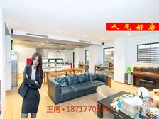 新出独栋别墅!私家车库!入户300平院子!带四佰万装修