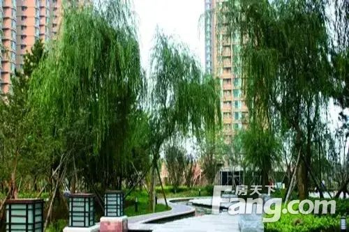 小区相关图
