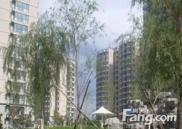 实景图
