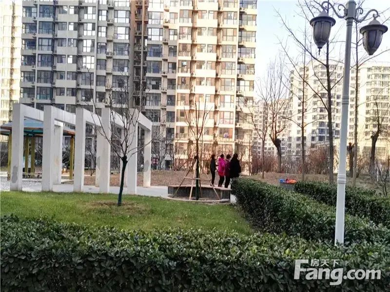 实景图