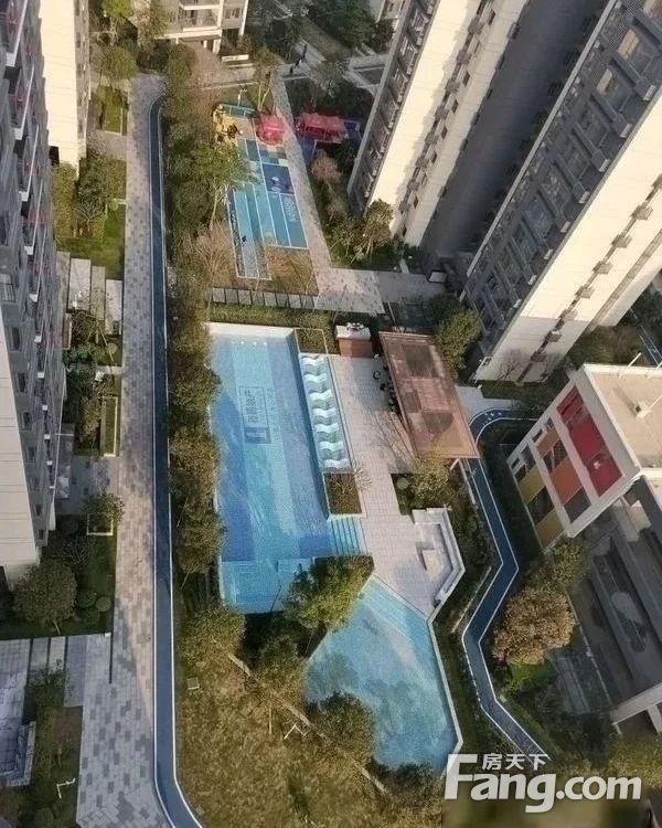 实景图