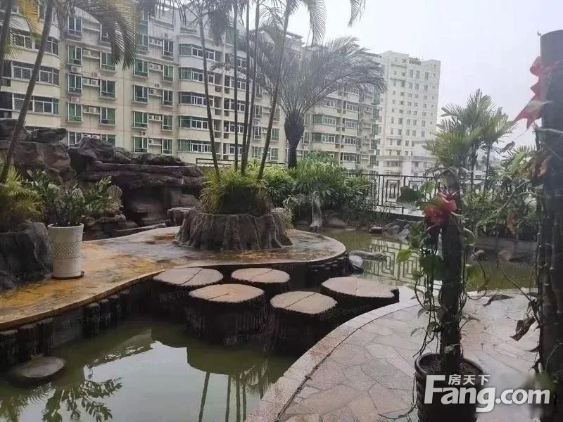 实景图