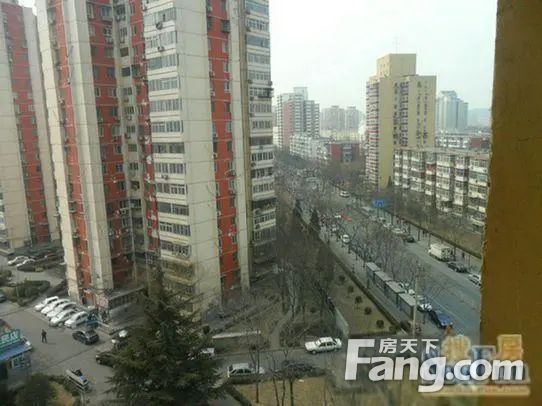 实景图