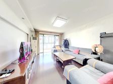 新明星花园二期 电梯3房 户型通透精装修 采光好视野开阔