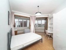 月季园的卖点主要包括其独特的地 理位置、丰富的月季品种、优美