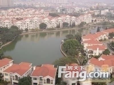 实景图