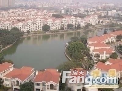 实景图