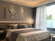 汽博核心 中式园林独院别墅 户户私家花园 送私家电梯