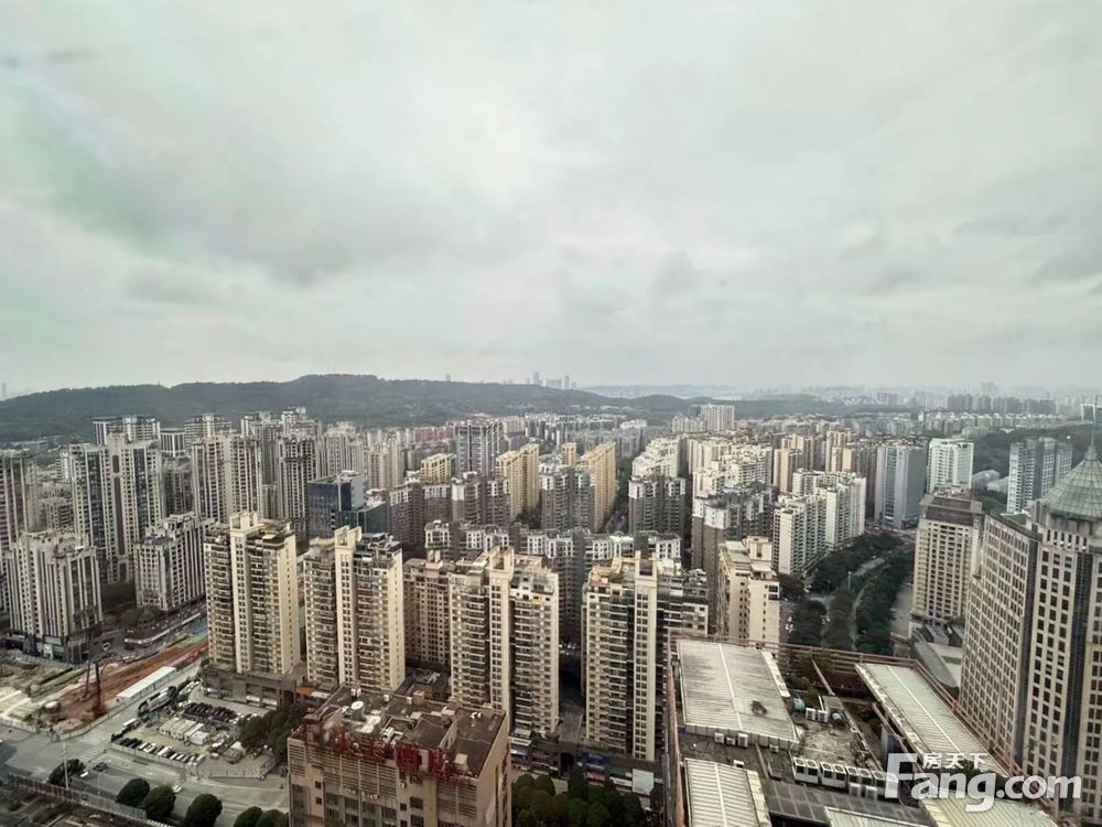 平面图